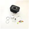 MOTORPARTS KIT MOTORE GRUPPO TERMICO DR 50 CC D. 38,4 SPINOTTO 12 CICLOMOTORI CIAO SI BRAVO BOXER GRILLO BOSS CBA ECO