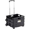 Garden Friend Carrello Pieghevole con Cassa in Plastica e Ruote 38x33x87h cm