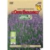 Sementi Dotto Sementi Aromi Lavanda