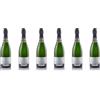 Fontanafredda Alta Langa DOCG Brut Limited Edition 2021 - Spumante Metodo Classico - Pinot Nero e Chardonnay con affinamento di oltre 30 mesi - 12,5% vol. 0,75l (6, 4500, millilitro)