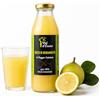 VAL D'ESARO Succo di bergamotto 100% Puro - Non da concentrato - Senza Conservanti - Made in Calabria - Alto contenuto di antiossidanti - Bottiglia da 0,75 - Speciale imballo brevettato Anti-Rottura (1 Bottiglia)