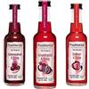 Fruchtwerker Set di aceto e melograno, diverse varietà, fruttato, aceto di frutta, aceto di frutta, set di aceto, puro vegetale, dolce, in bottiglie di vetro (melograno + ribes + lampone)
