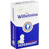Wilhelmina Pepermunt | Scatola In Piedi Alla Menta Piperita (12X 100Gr | Wilhelmina Caramelle | Caramelle Olandesi | 12 Pack | 1200 Grammi Total