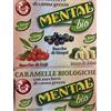Mental Espositore Mental Caramelle Biologiche con Zucchero di Canna Grezzo 3 Gusti
