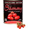 SAMMY - I Pomodorini Datterini, Pomodorino Datterino in Succo di Pomodoro, 100% Filiera Italiana, Gusto Dolce e Intenso, 12 Pezzi in Latta da 800gr