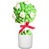 irpot-bulgari Albero di Marshmallow fai da te (Secchiello Rosso)