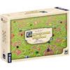 Devir BGCARPLUS3 Carcasonne Big Box, Gioco base + 11 espansioni, età 7 anni e più (Versione spagnola)