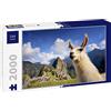 Lais Puzzle Lama a Machu Picchu, Perù 2000 Pezzi