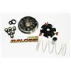 Malossi Variatore Variomatik Malossi Minarelli, sdraiato / in piedi, 517075, Aprilia Amico, SR 50, Beta Ark, Eikon 50, Italjet Dragster, Pista 50, Malaguti Centro, F10, MBK Booster 50