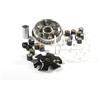 Malossi - Variatore Multivar 2000 per Kymco Agility, Like, Super8, People 125 / 200ccm.