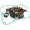 Generico KIT STATORE MAGNETE E GUARNIZIONE People S IE 250 2007-2011 Xciting I 250 2006-2008 People S I 300 2008-2012 Xciting I 300 2008-2014