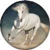 NIBABAEU Copertura per ruota di scorta per auto, stampa con cavallo al galoppo, copriruota impermeabile e antipolvere, per SUV, camper, rimorchio, borsa per pneumatici da 35,5 cm