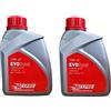 Generico ACT-PRO! EVO Synt Olio Motore 10W-40 Sintetico Originale Compatibile Con MT800 / MT650 / NK800 / CLX700 2lt