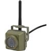 Annadue Telecamera per Visione Notturna per Uccelli, Telecamera per Birdwatching Wireless con Rilevamento del Movimento a 10 LED Impermeabile, Controllo APP, Supporta Schede di Memoria