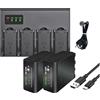 CQJFCYBRA NP-F980 NP-F970 NPF960 NPF970 Batteria Con Caricabatterie Rapido LCD, Compatibile Con Sony, For PLM-100 CCD-TRV35 MVC-FD91 MC1500C NP-F550(2Pcs with Charger)