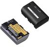 LOKLNEYK Batteria Da 2850 MAh, Compatibile Con Canon, For LP-E6P EOS R5 MarkII 5D Mark III(2xBattery)