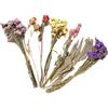 Generic Biancheria da per criceti con Fiori secchi, Biancheria da per criceti con Fiori Naturali, Fiori Naturali di spighe di Grano, Set di Spray Decorativi per Habitat per criceti, aggiunta di
