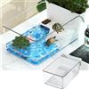 Feizikaw Vivario per Tartarughe Piccole con Piattaforma Sole e Vaso Integrato, Materiale PET Resistente, Dimensioni 32.7x19.3x12.2cm, Ideale per Acquari Piccoli, Granchi e Paesaggi Interni Ecologici, Superfici