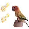 KAMA BRIDAL Pannolini per Uccelli Lavabili per Pappagalli, Parakeet, Calopsitta, Mini Ara, Canarino, Tuta da Volo 2 Pezzi