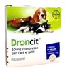 napz CentroVete DRONCIT (2 CPR) - Elimina i parassiti intestinali di Cani e Gatti.