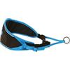 Inlandsis Cintura regolabile per cane, passeggiata a mani libere, escursionismo, canicross, mushing // Inlandsis Trekker // Ergonomico, tasca posteriore, alta visibilità