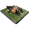 PetZolla Gatto Kit XL - Cuccia estiva in vera erba con vassoio 100X90 cm | Letto per gatti con erba gatta naturale e atossico, Cuccia per gatti da interno dura fino a 3 mesi - Made in Italy