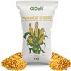 GiDeli Mais 5 kg giallo - grani di mais interi di qualità alimentare - mangime per polli, anatre, cavalli e piccioni