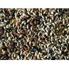 Generico Mangime Completo per Canarini 5Kg Mix Naturale con Granuli VAM Ricco di Vitamine, Aminoacidi e Minerali - Per Canto, Muta e Piumaggio Sano - Alimento Professionale Made in Italy