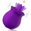 Generico Stimulatore del vibratore del giocattolo del sesso del clitoride per le donne, leccando la lingua vibrando giocattoli per adulti con 10 modalità di vibrazione (Purple)