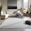 Carpetsale24 Tappeto per Soggiorno 200x290 cm Argento Lavabile, Pelo Corto, Design Moderno, Monocromatico - Tappeto Lavabile Antiscivolo Extra Morbido e Fluffy per Camera da Letto, Cucina