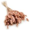 Enchanted Dekogras - Erba secca ornamentale a coda di coniglio, Lagurus Ovatus, erba di velluto, erba della coda di coniglio, fiori secchi, naturale, boho, 120 - 150 pezzi, 100 g, rosa antico