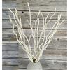 DongArts Ramo di salice riccio naturale essiccato da 53-58 cm, 15 bastoncini decorativi intrecciati bianchi, 3 mini zucche vere per la decorazione della casa