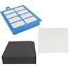 Sparesbarn Set di filtri di ricambio per aspirapolvere Electrolux USK6 Ultraperformer UltraActive ZUP 3810 3815 3820-3899 ZUA 3830P, AEG AUP 3820B 3840C 3860C AUPG3801 Green