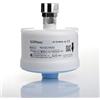 BIOHome Filtro purificatore Acqua per Rubinetto con RACCORDO 22F FEMMINA. Elimina Batteri, Funghi e Virus - FILTRI ANTIBATTERICI -Durata 62 GG