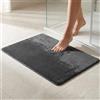 parpyon Tappeto Bagno Antiscivolo Linosa I asciugapasso Ingresso Tappeto Magico in Microfibra I Lavabile in Lavatrice Tappetino Bagno Doccia I tappeti Moderni (65X150, Grigio)
