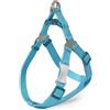 CAMON PET.Regol. Bicolore poliestere Ciano Bondi 25x540~840mm