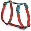 Camon Pettorina 3 Regolazioni ad H Bicolor Rosso Ottanio Cane 25x600/1000mm