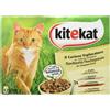 Kitekat Busta Curioso Esploratore con pollo Gatto 24x85g