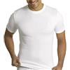 AXIOM Maglietta Intima Uomo Manica Corta 100% Cotone Felpato MM6515 (Bianco, 6/XL)