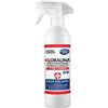 Chimiclean KLORALINA Oxyalcol Power, Spray Detergente Igien izzante con Alcol e Ossigeno, 500 ml