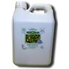 Argan Italia Olio puro di Neem biologico in formato da 5 lt. certificato ECOCERT e Biocertitalia