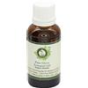 R V Essential Olio essenziale chiodi di garofano | Syzgium Aomatic | from bud | Per denti | Per cucinare | 100% puro | Distillato a vapore | Grade terapeutico | Clove Essential Oil | 50ml | 1.69oz By R V Essential
