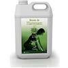 Camylle - Steam Bath Fragrance Pine - A base di oli essenziali per stanze di vapore, bagni di vapore o docce a vapore - Tonificante con aromi freschi e speziati - 5000ml