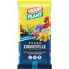 VIGORPLANT Terriccio Cinquestelle 45 litri Vigorplant
