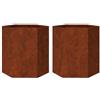 vidaXL Fioriere da Giardino 2 pz Esagono 46x40x45cm in Acciaio Corten, fioriera, fioriera da Patio, Contenitore per Piante, fioriera da Esterno
