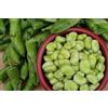 MES GRAINES Potagères Lotto di 25 semi di fagioli Agualduce con baccello molto lungo - varietà produttiva, grande baccello - grande qualità gustativa e nutrizionale - garanzia di germinazione - semi riproducibili