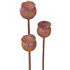 Bornhöft - Set di 3 picchetti da giardino con papavero, capsula di papavero, in metallo arrugginito, decorazione da giardino, traliccio, picchetto per aiuola, picchetto per vaso, ruggine naturale
