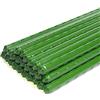 Peowuieu Confezione da 25 da giardino in metallo e plastica, per piante rivestite, supporta l'arrampicata per pomodori, bagni, cetrioli, recinzioni, fagioli, 40 cm