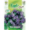 Flortis Viola Mammola