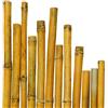arredogiardini.it CANNA CANNETO PER PIANTE IN BAMBU Ø 28-30 MM H 240 CM 25 PZ PER AGRICOLTURA